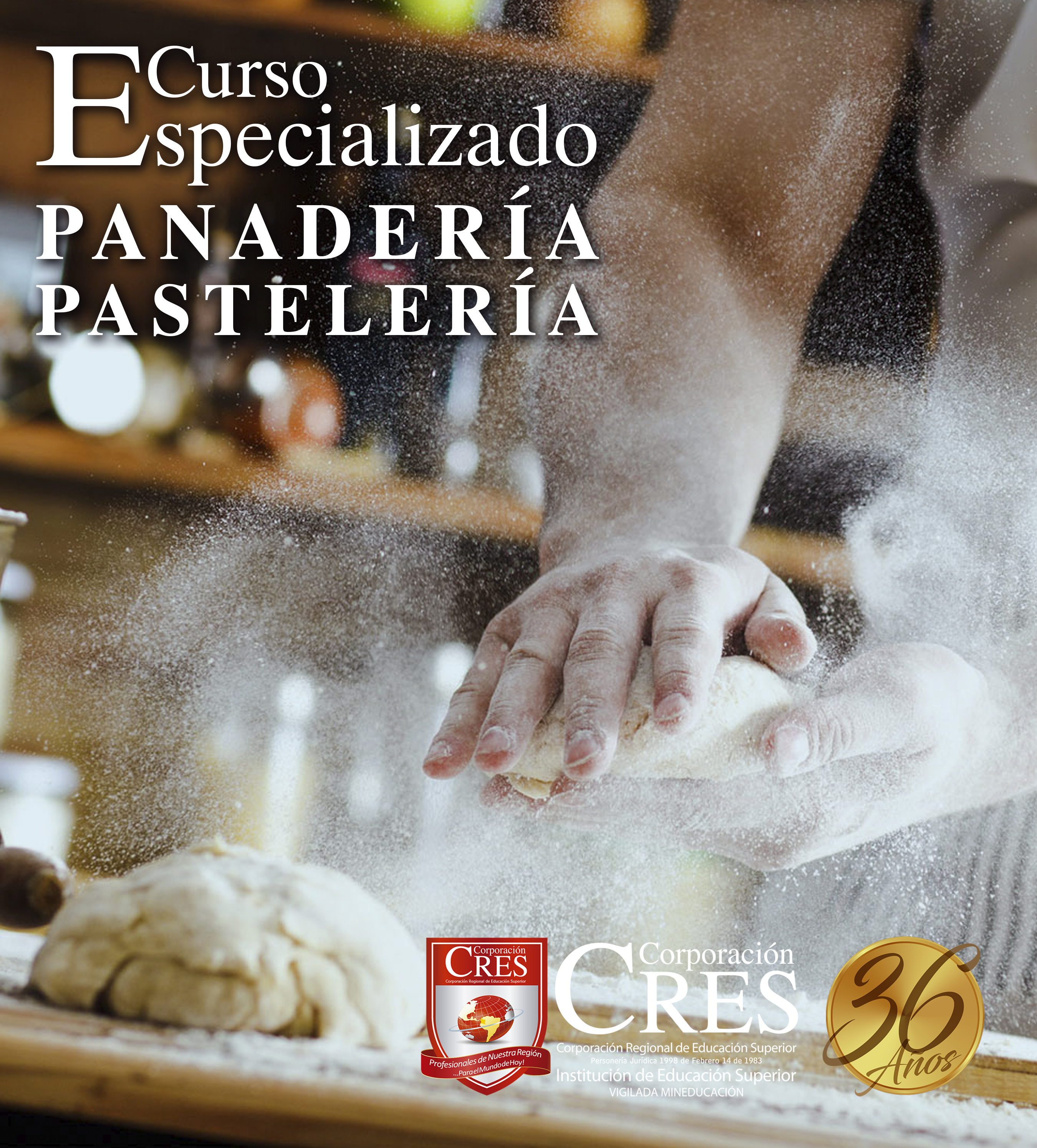 cursos de pastelería , repostería y panadería